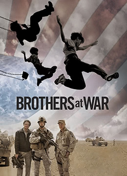 S-最后的警官：夺还