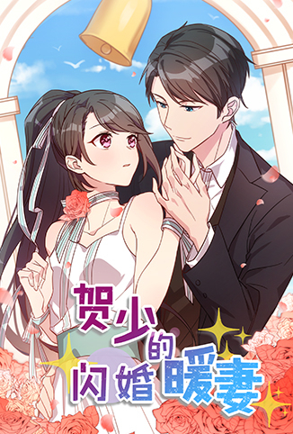 贺少的闪婚暖妻